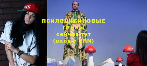 спиды Киреевск