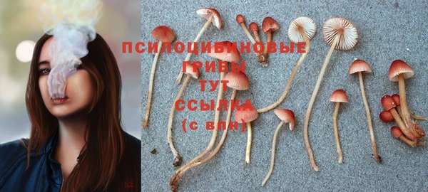 спиды Киреевск