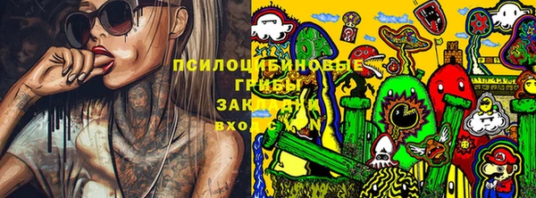 ПСИЛОЦИБИНОВЫЕ ГРИБЫ Козельск