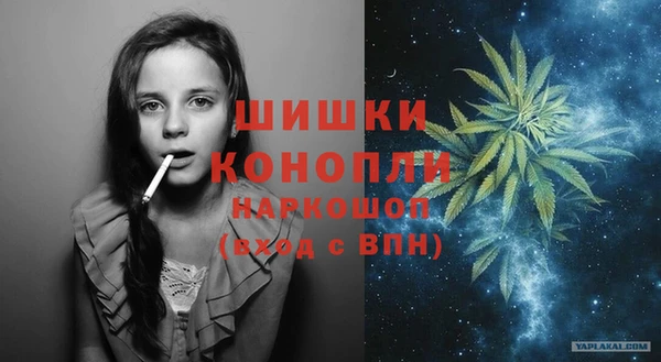 ешки Козловка