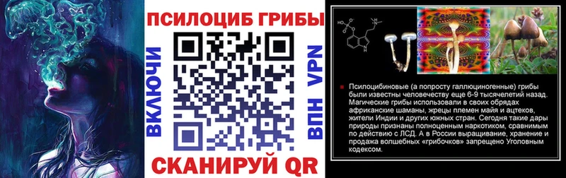Купить закладки  Геленджик  Псилоцибиновые грибы Magic Shrooms 
